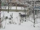 images(14)