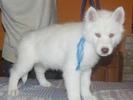 images(21)