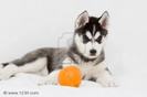 images(24)