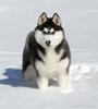 images(25)
