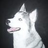 images(27)