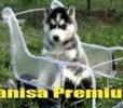 images(40)