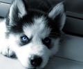 images(57)