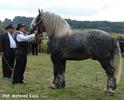 dsc02598[1]