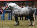 dsc02880a[1]