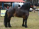 dsc02888t[1]