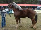 dsc02896h[1]
