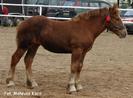 dsc02913[1]