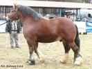 dsc02990z[1]