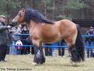 dsc06612f[1]
