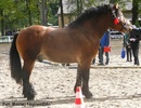 folderdf[1]