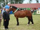 galet[1]