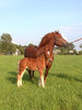 kreta_1[1]