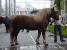 P9282172[1]