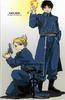 Roy-riza