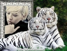 g-dragon