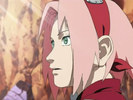 reunion-haruno-sakura-18829288-640-480