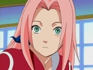 Sakura-haruno-sakura-5586251-720-544