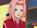 Sakura-haruno-sakura-5586256-720-544