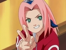 Sakura-haruno-sakura-5586262-720-544
