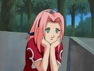Sakura-haruno-sakura-5586263-720-544