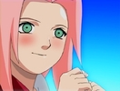 Sakura-haruno-sakura-5586264-720-544