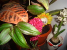DSC03204