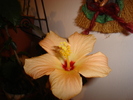 DSC03205