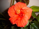 DSC03212