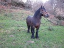 IMG_0150[1]