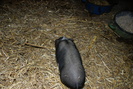 DSC08253