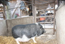 DSC08289