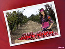 Maite