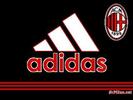 Adidas - adidas milan