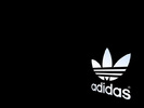 hg_adidas_originals