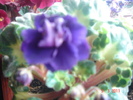 DSC05880