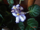 DSC05884