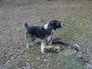 Emeric