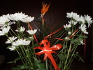 8 MARTIE2011