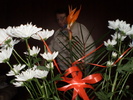 8 MARTIE 2011