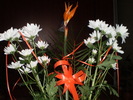 8 MARTIE 2011