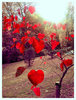 __Hearts___by_rachey_roo