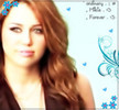31944496_KEUPTRBOV