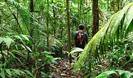 de la padure la jungla :P