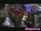Halloween on the Wonder World Tour 341