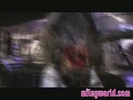 Halloween on the Wonder World Tour 342