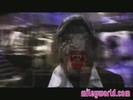 Halloween on the Wonder World Tour 343