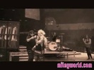 Halloween on the Wonder World Tour 416