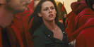 bella-running-in-square