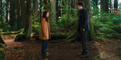 new-moon-bella-edward-woods